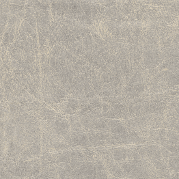 Close-up of a textured gray surface